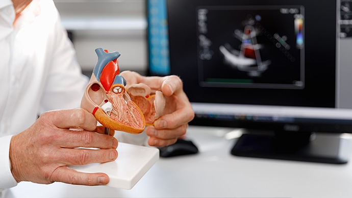 血管阻塞前兆易忽略-心臟-腦部-四肢堵塞症狀-檢查方法全解析